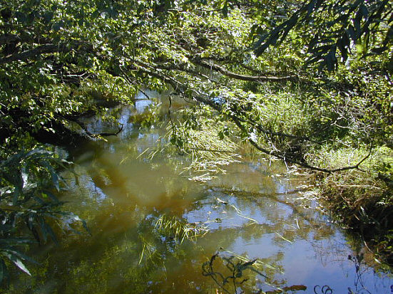 2000年09月22日 ポー川史跡自然公園 ポー川