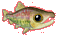 VUP@܂ׂ̂̂悤Ł[